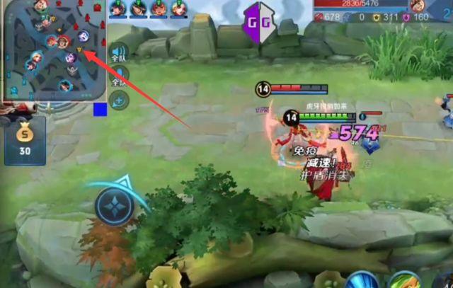 <strong>王者cky冬瓜真装</strong>